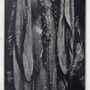 Macbeth, by William Shakespeare, photo file 'A'