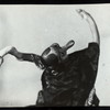 Puppet