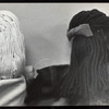 Two hand puppets from behind
