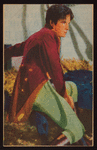 Ramon Novarro