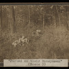 Parted On Their Honeymoon (Cinema 1909)