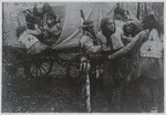 Perils of Pauline (Cinema 1914)