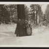 Playthings of Destiny (Cinema 1921)