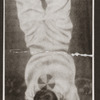 Enrico Rastelli