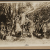 Reggie mixes in (Cinema 1916)