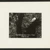 The Seventh Seal