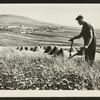 Still from the 1977 documentary film The Shetland Experience