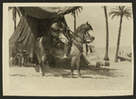 Son of the Sheik (Cinema 1926)