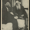 Chekhov and Tolstoy