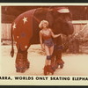 Tarra (elephant)