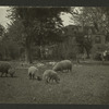 Theatres -- U.S. -- Moylan, PA -- Hedgerow