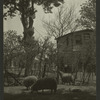 Theatres -- U.S. -- Moylan, PA -- Hedgerow