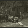 Theatres -- U.S. -- Moylan, PA -- Hedgerow