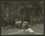Theatres -- U.S. -- Moylan, PA -- Hedgerow