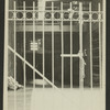 Theatres -- U.S. -- N.Y. -- Majestic (245 W. 44th)