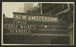 Theatres -- U.S. -- N.Y. -- New Amsterdam