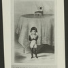Tom Thumb