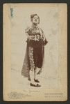 The Toreador
