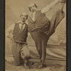 Weber and Fields