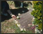 Natalie Wood Wagner's grave at Westwood Village Memorial Park Cemetery