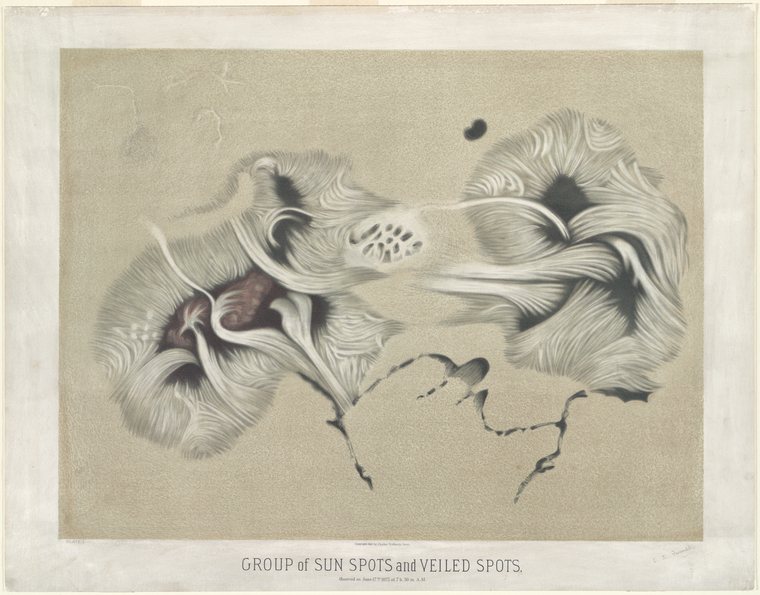 Étienne Léopold Trouvelot, Group of Sunspots and Veiled Spots, As Observed on June 17, 1875, at 7.30am, chromolithograph print, Plate I in The Trouvelot Astronomical Drawings: Atlas. The New York Public Library Digital Collections.