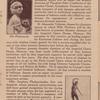 Brochure advertising Anna Pavlova's appearance at the Shubert Murat Theatre, January 4, 1915