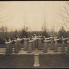 Large group of greek revival dancers