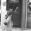 Mott Street between Bayard Street and Canal Street. Odd numbers