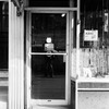 2nd Avenue between East 90th Street and East 91st Street. Even numbers