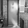 Leroy Street between Bleecker Street and Bedford Street. Even numbers