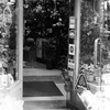 7th Avenue between West 55th Street and West 56th Street. Odd numbers