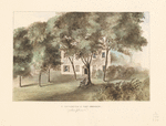 A southwest view of Fort Johnson. [John Johnson]