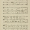 Under the trees on the cycle path : song and chorus