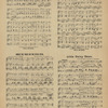 Under the trees on the cycle path : song and chorus