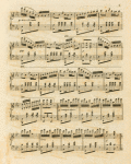 Live Oak polka
