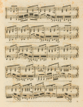 Live Oak polka