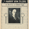 A bird in a gilded cage