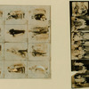 The lady of the slipper keysheets.