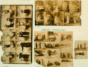 Index