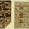 The song of songs keysheets.