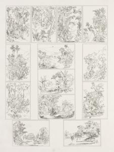Physiognomy of tropical vegetation in South America; a series of views illustrating the primeval forests on the river Magdalena, and in the Andes of New Grenada.