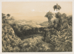 Forest, valley and mountains in background