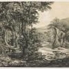 Tropical forest at river's edge