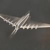 Transportation Building and Exhibit - Sketch of gigantic airliner of the future.