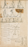 Diagram of a cricket field
