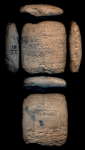VV-81