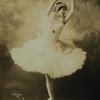 Anna Pavlova, costumed as The dying swan
