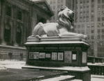 Photograph of the northerly lion showing an exhibition display case mounted along the side of lion's pedestal, ca. 1935-37