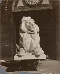 Photograph of the  southerly lion mounted on a dolly in the Piccirilli Brothers yard in the Bronx