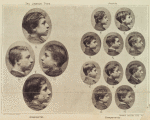 The Jewish type. Profile
